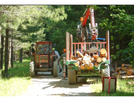 Cantieri forestali: per i sindacati, i nodi non sono stati sciolti