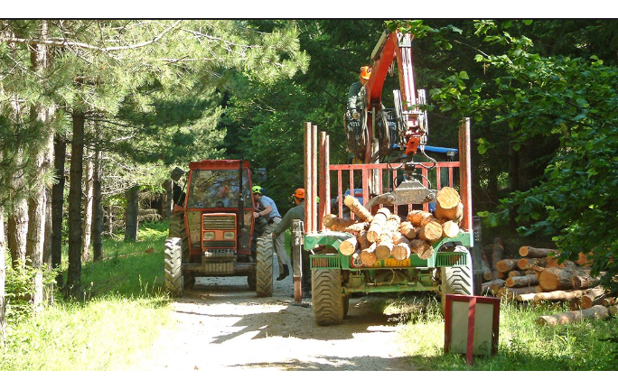 Cantieri forestali: per i sindacati, i nodi non sono stati sciolti