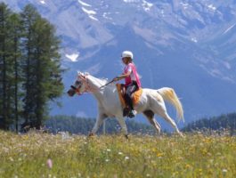 Confermate le gare equestri a Torgnon ma senza pubblico