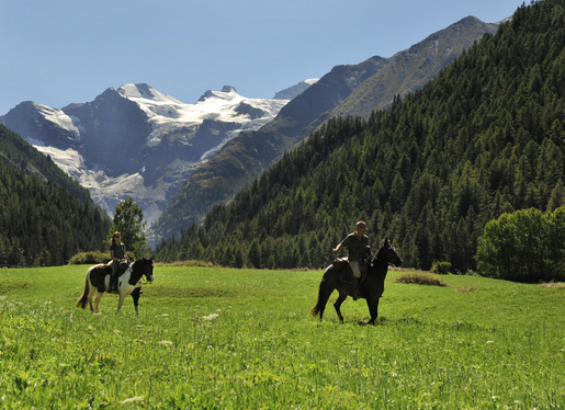 In Valle d’Aosta il 5x1000 va soprattutto al Parco Gran Paradiso