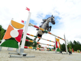 Equitazione: vittoria di Viola Orillier nel livello base pony junior