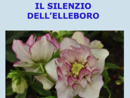 Il silenzio dell\'elleboro, quattro chiacchiere con Giuse Lazzari