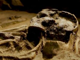 Il guerriero celtico a due festival cinematografici
