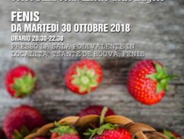 Un corso sulla coltivazione delle fragole a Fénis