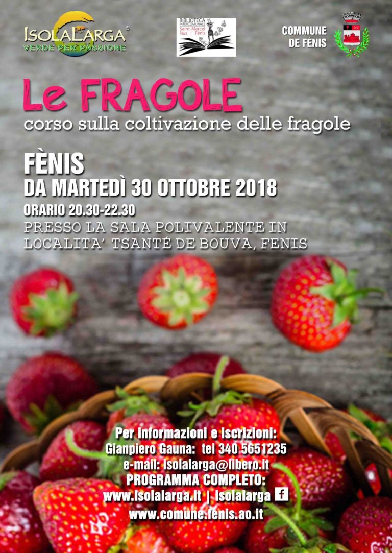 Un corso sulla coltivazione delle fragole a Fénis