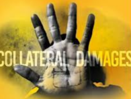 Collateral damages, un incontro di approfondimento con Ugo Lucio Borga