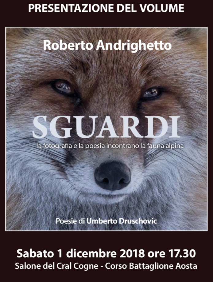 Roberto Andrighetto presenta il volume Sguardi