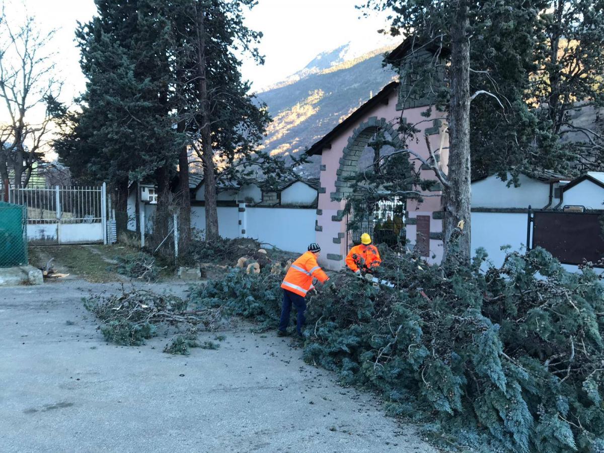 Cipresso abbattuto dal vento al cimitero di Signayes