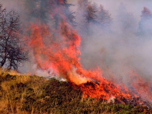Grave pericolosità d’incendio boschivo