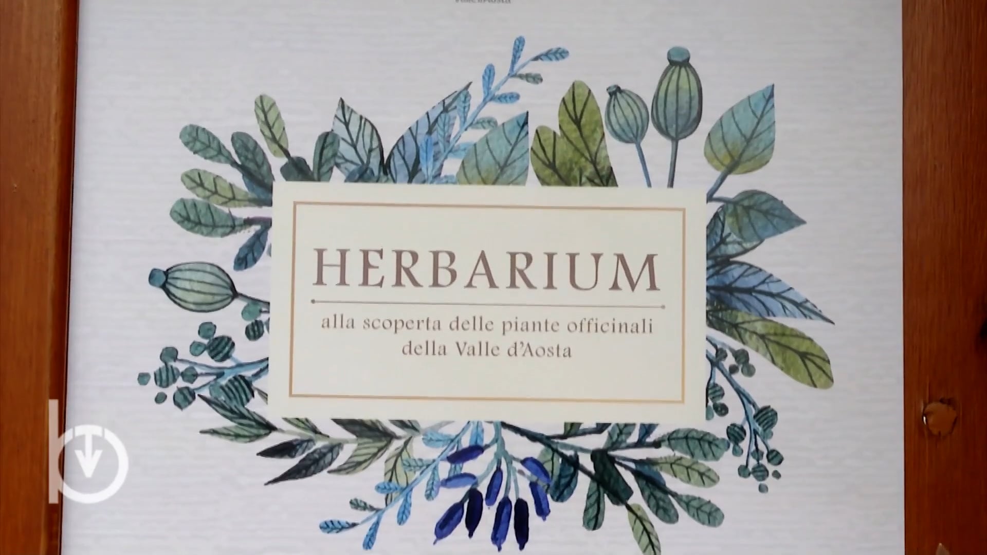 Herbarium 2019
