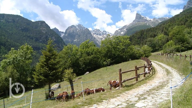 Il Parco del Mont Avic compie trent'anni