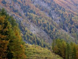 Valle d\'Aosta sempre più verde