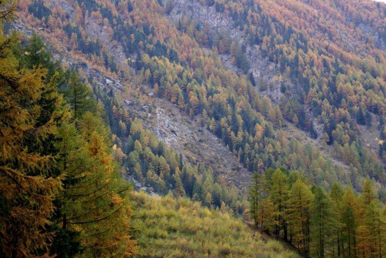 Valle d'Aosta sempre più verde