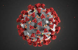 Coronavirus: la situazione alle ore 13 del 12 marzo 2020