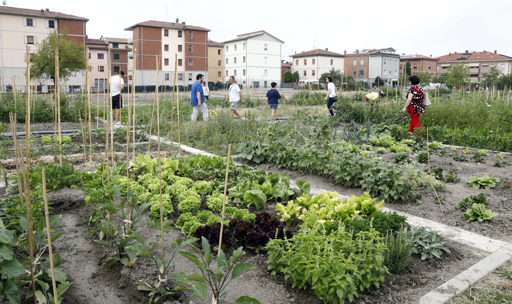 Rinviata l’assegnazione degli orti comunali di Aosta