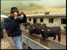 2003 - Rien qu\'une vache - Alpages ouverts