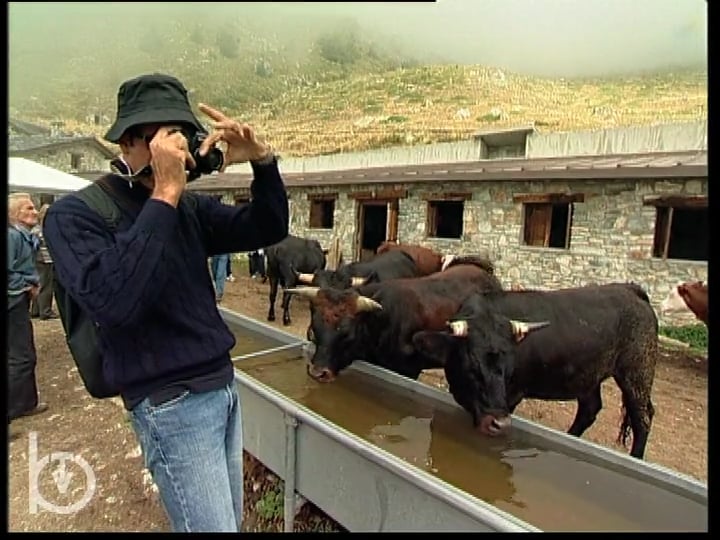 2003 - Rien qu'une vache - Alpages ouverts