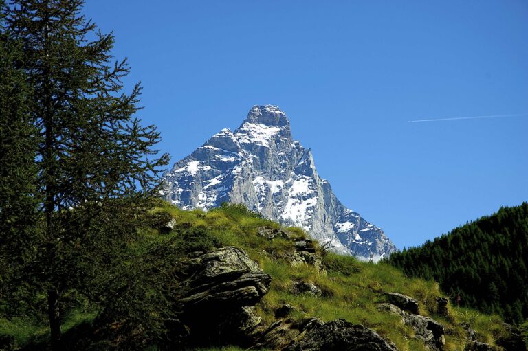 Proclamati i vincitori del progetto L'Adieu des Glaciers-Monte Cervino