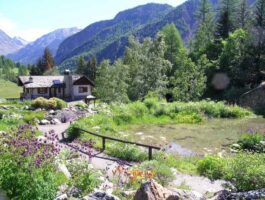 Parco Gran Paradiso: riapre il Giardino botanico alpino Paradisia