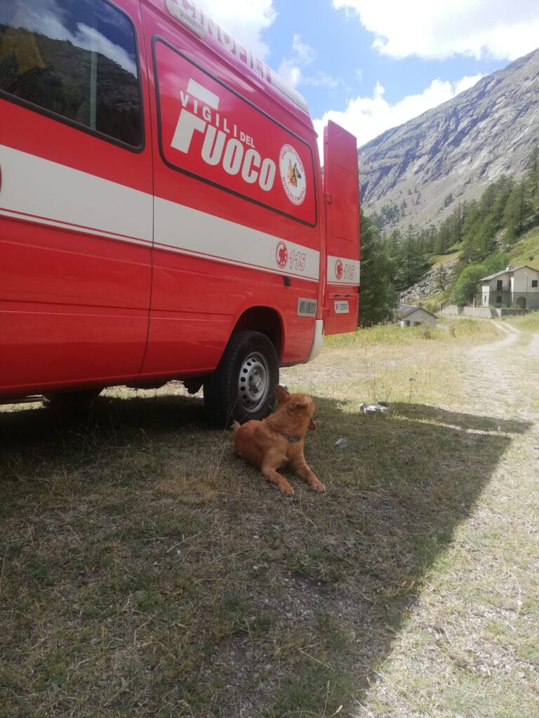 I cani del Vigili del Fuoco valdostani richiesti per una ricerca in Piemonte