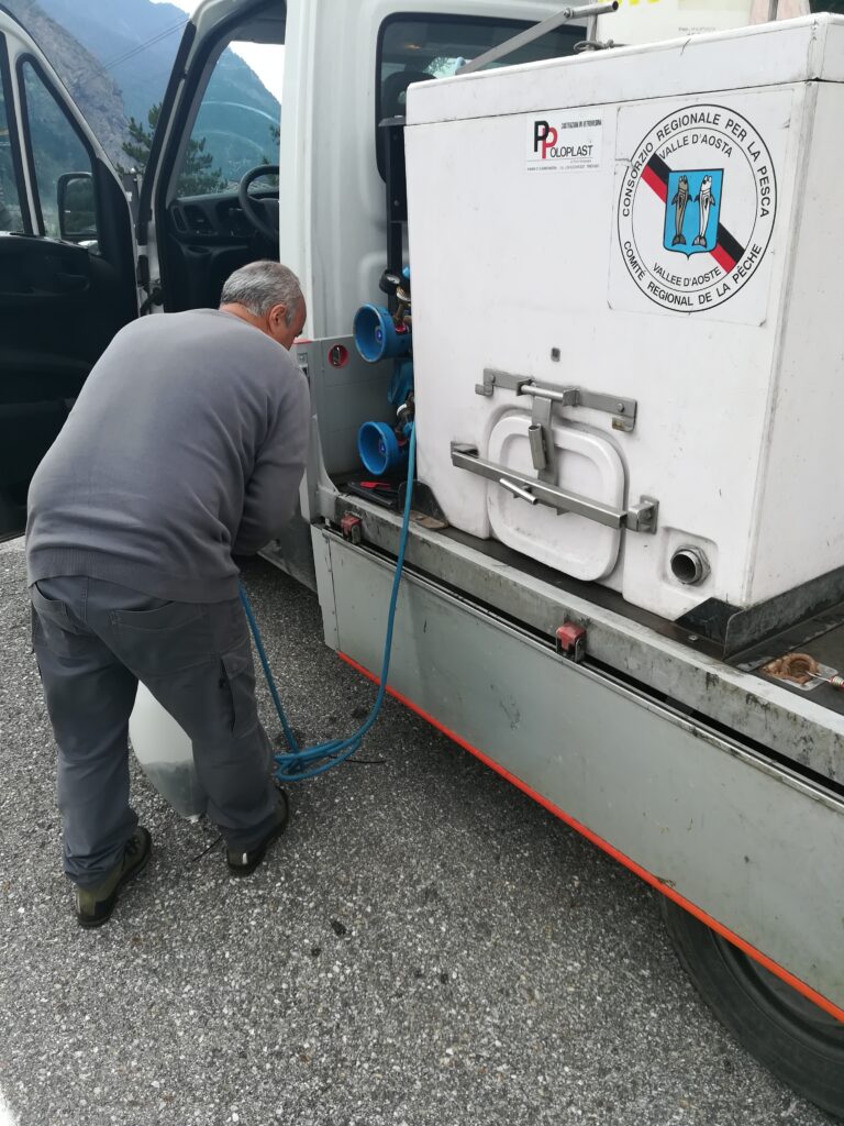 Ripopolamento di troterelle-pesca