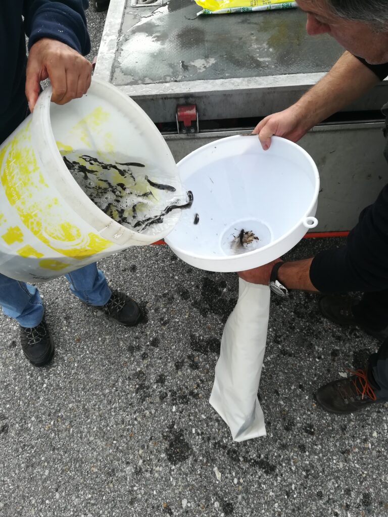Ripopolamento di troterelle-pesca