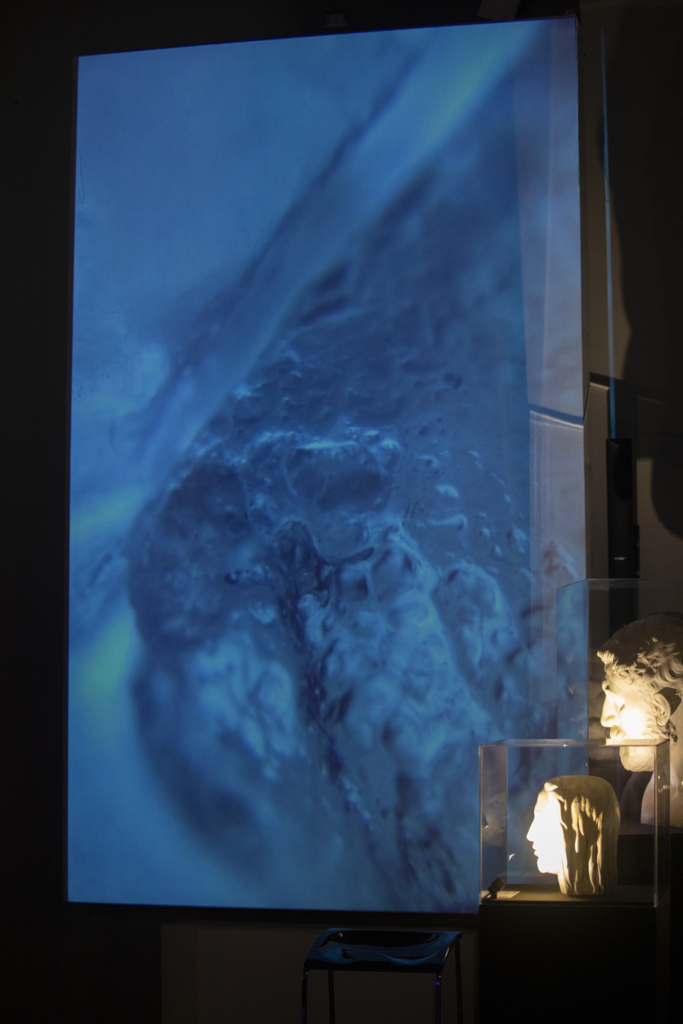 l'opera The Voice of the Glacier di Caterina Gobbi