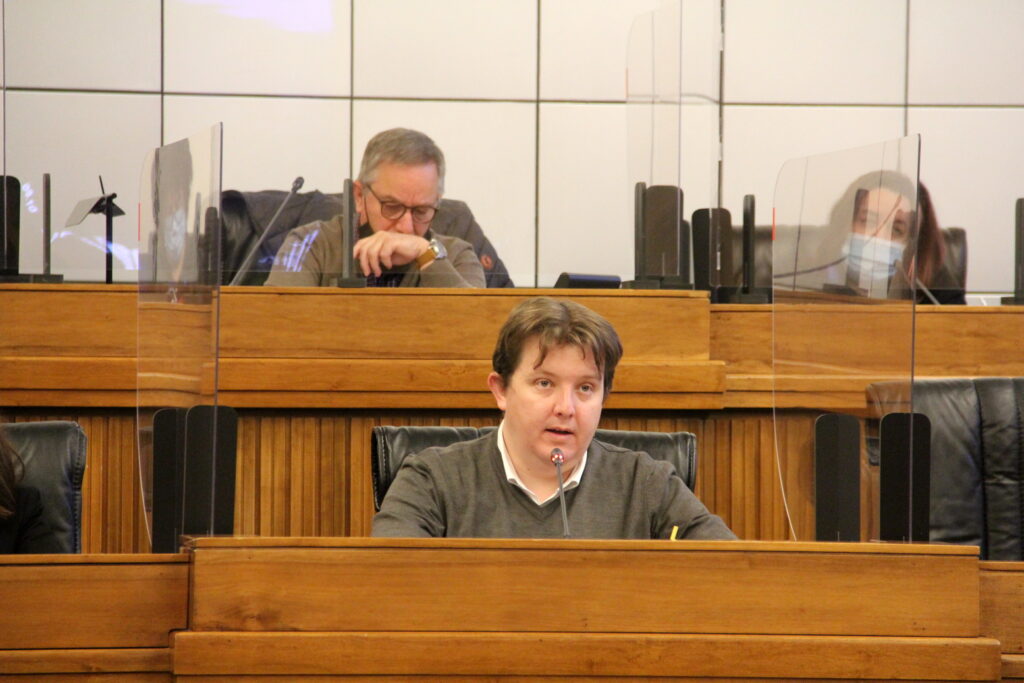 11.11.20 Il Presidente Lavevaz Audito In Commissione