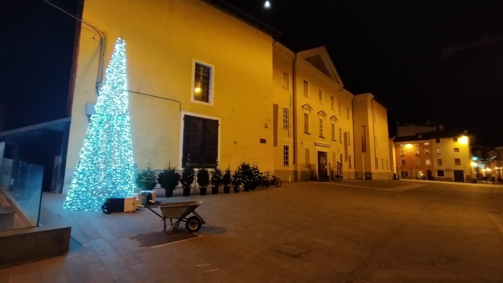 20201127 Albero Piazza Roncas