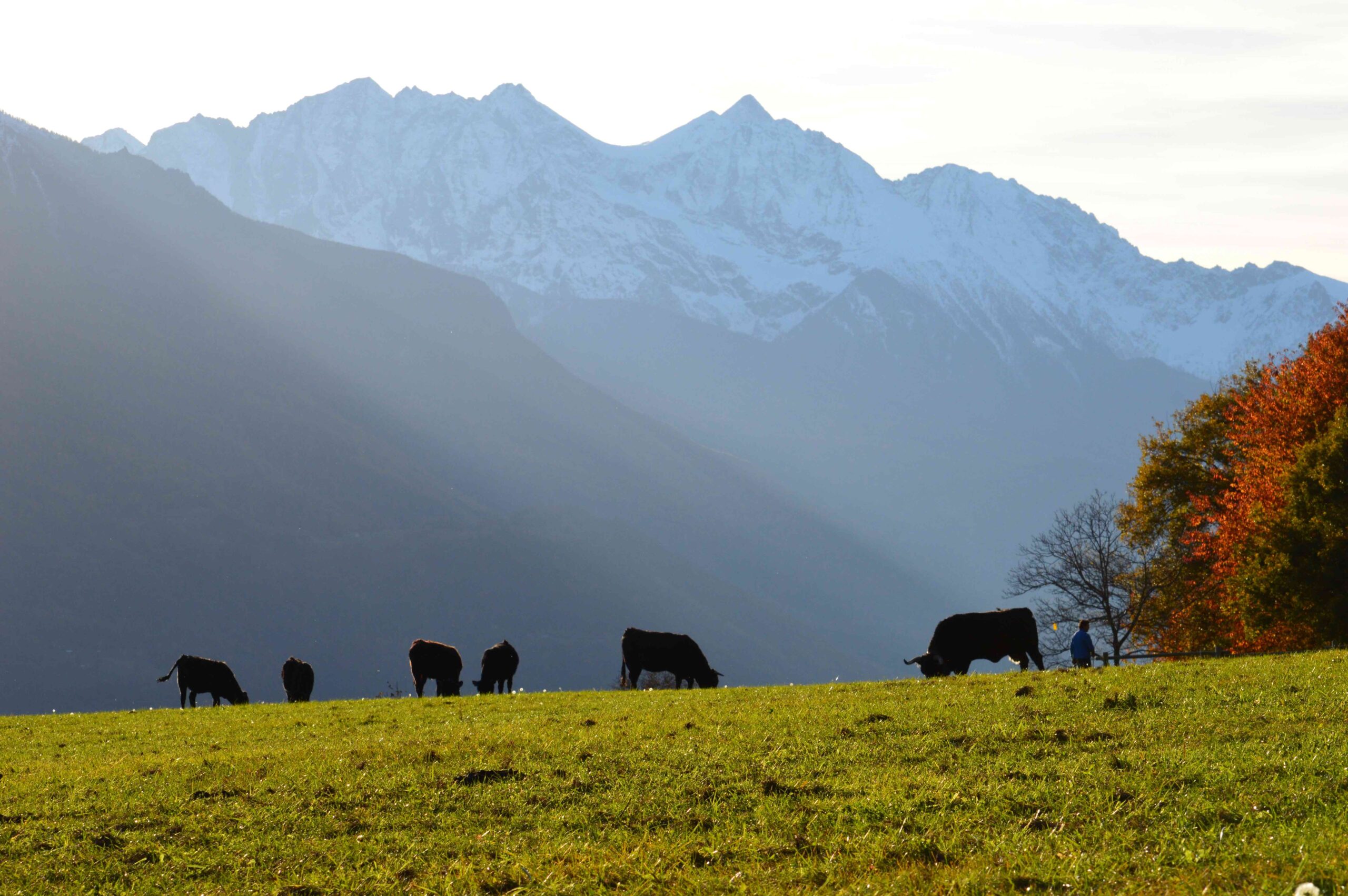 Arvier e Courmayeur insieme per la resilienza climatica
