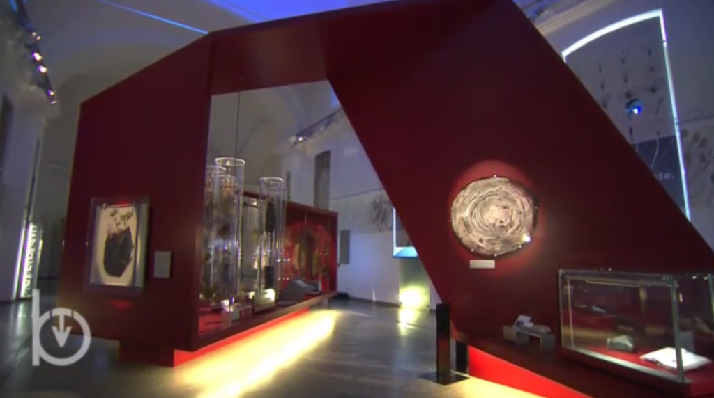 Il Museo regionale di scienze naturali di Torino