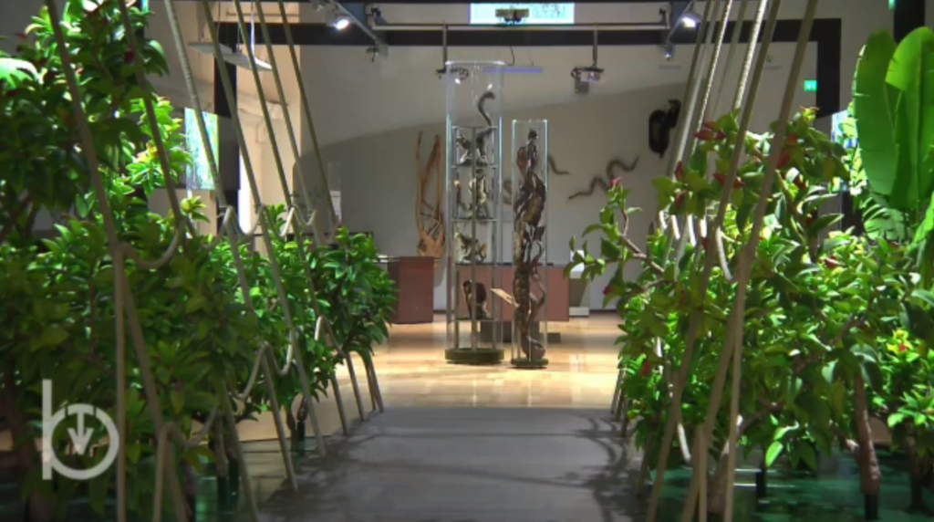 Il Museo regionale di scienze naturali di Torino