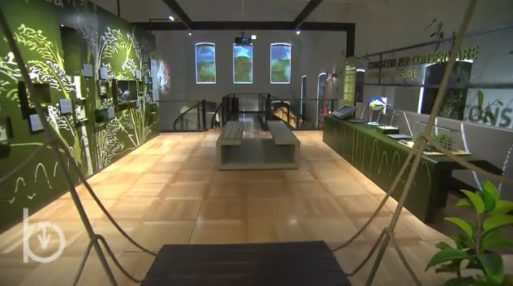 Un viaggio all’interno del Museo regionale di scienze naturali di Torino