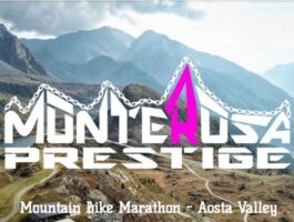 Mountain bike: Monte Rosa Prestige 2022