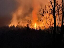 Incendio boschivo a Epinel