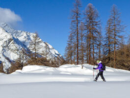Una primavera con gli eventi delle guide Trek Alps