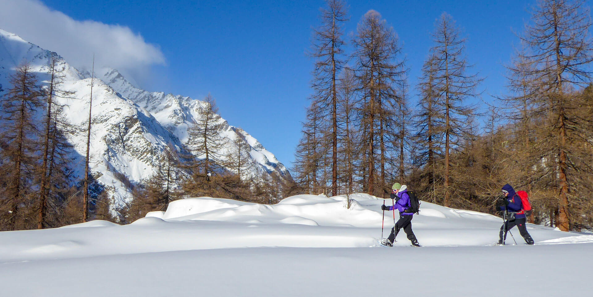 Una primavera con gli eventi delle guide Trek Alps