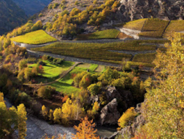 L\'evento conclusivo del progetto Interreg Alcotra Route des vignobles alpins
