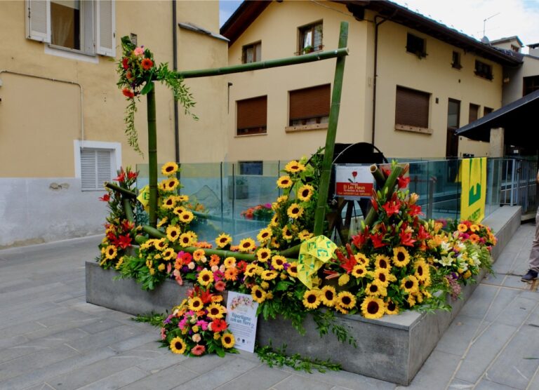 Ad Aosta, l'iniziativa "Ripartire con un fiore"