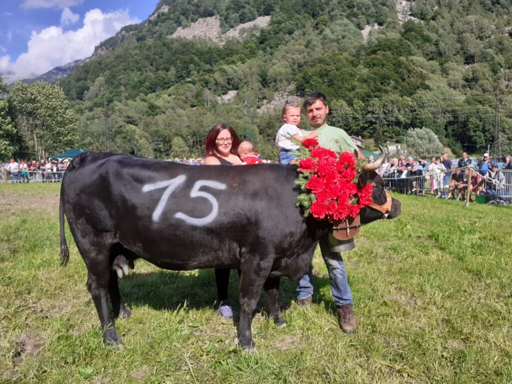 Londre Reina 2 Cat