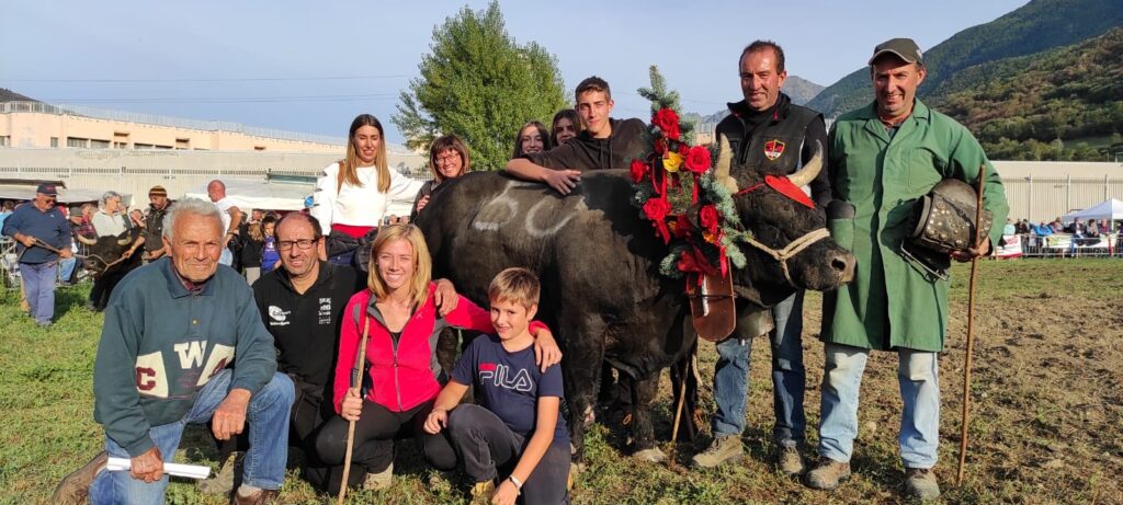 Batailles de Reines 2021 a Brissogne