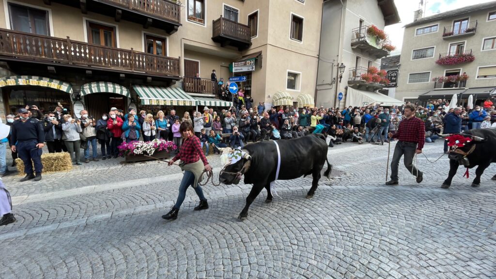 20211002-desarpa-cogne