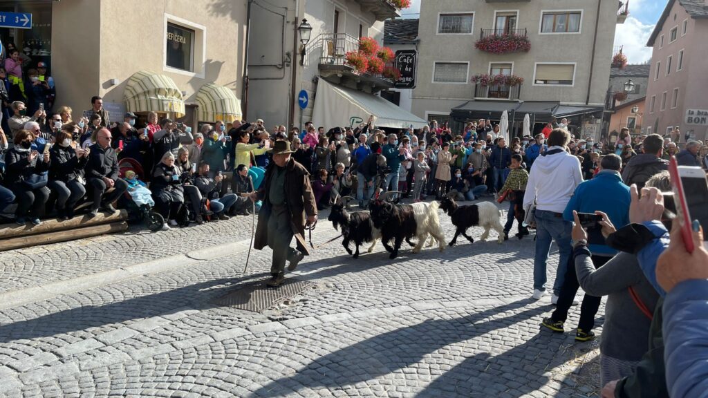 20211002-desarpa-cogne