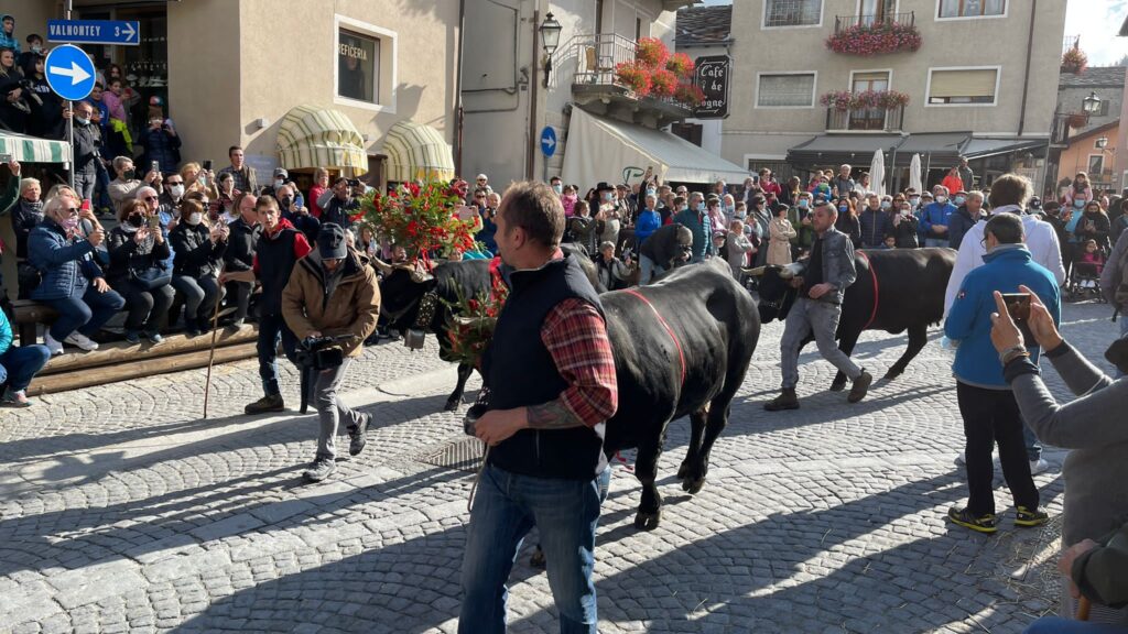 20211002-desarpa-cogne