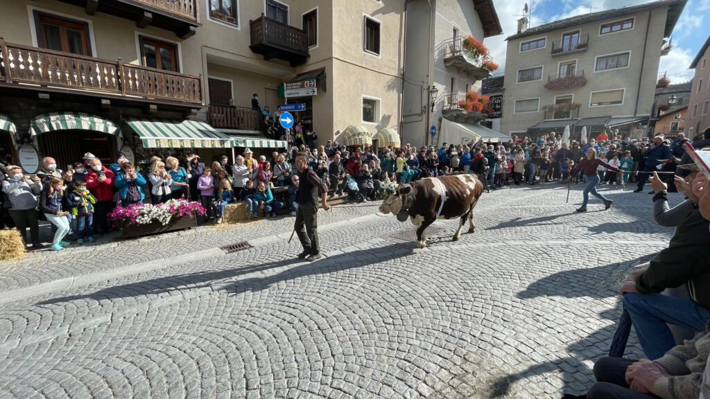 20211002-desarpa-cogne