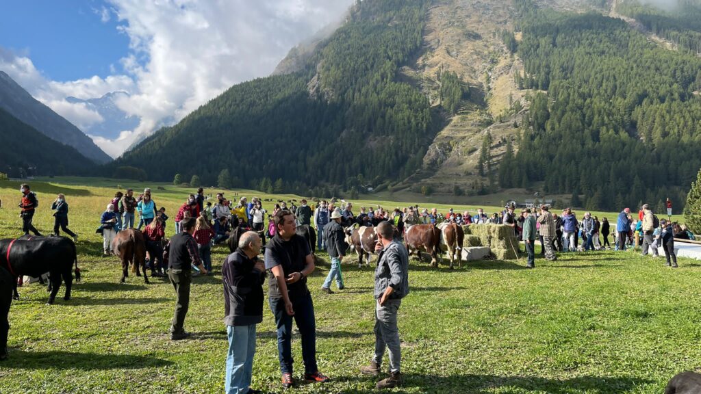20211002-desarpa-cogne