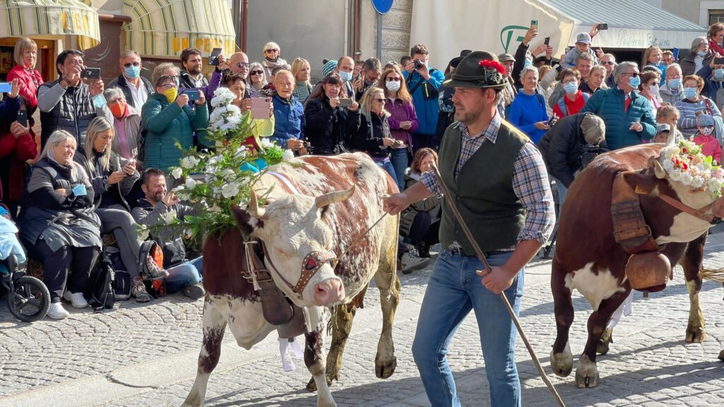 20211002-desarpa-cogne