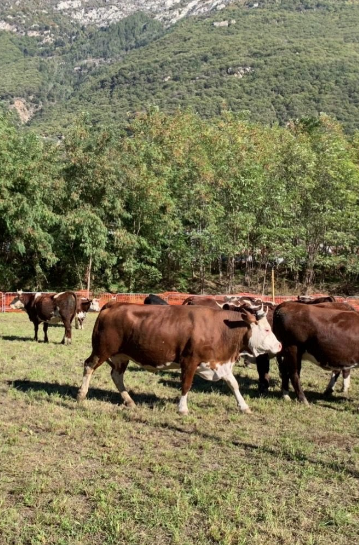 A Donnas, gli alunni vendono i prodotti del loro Orto in Condotta