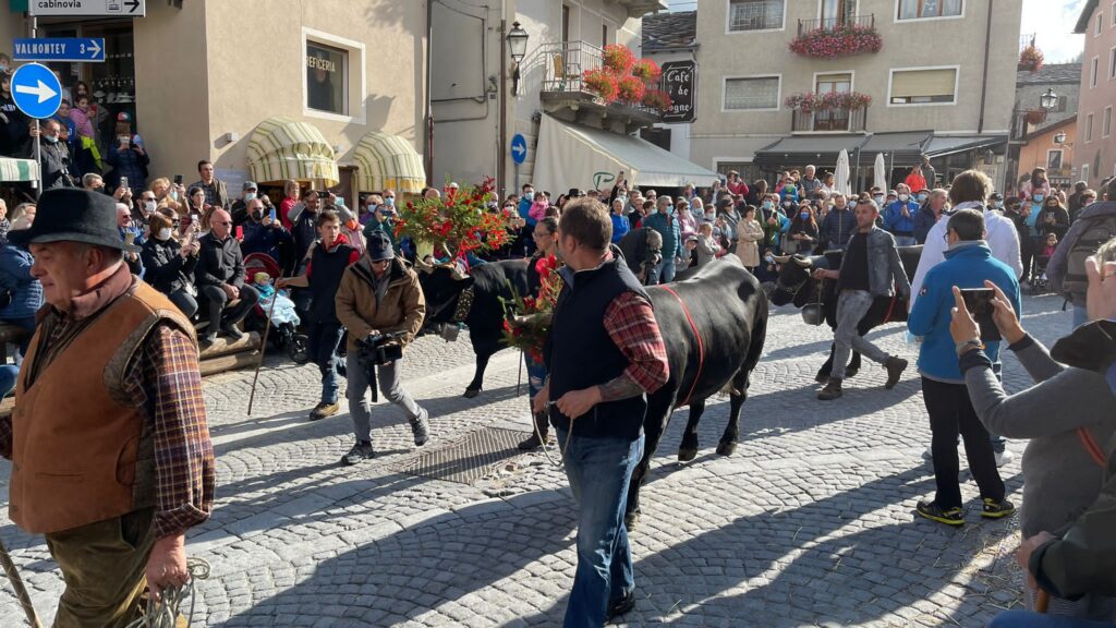 20211002-desarpa-cogne