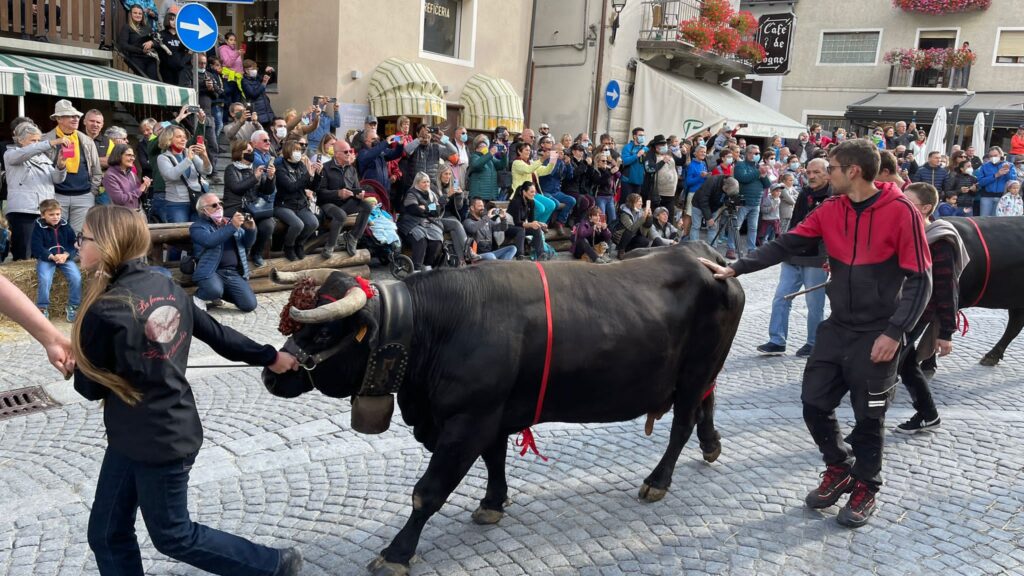 20211002-desarpa-cogne